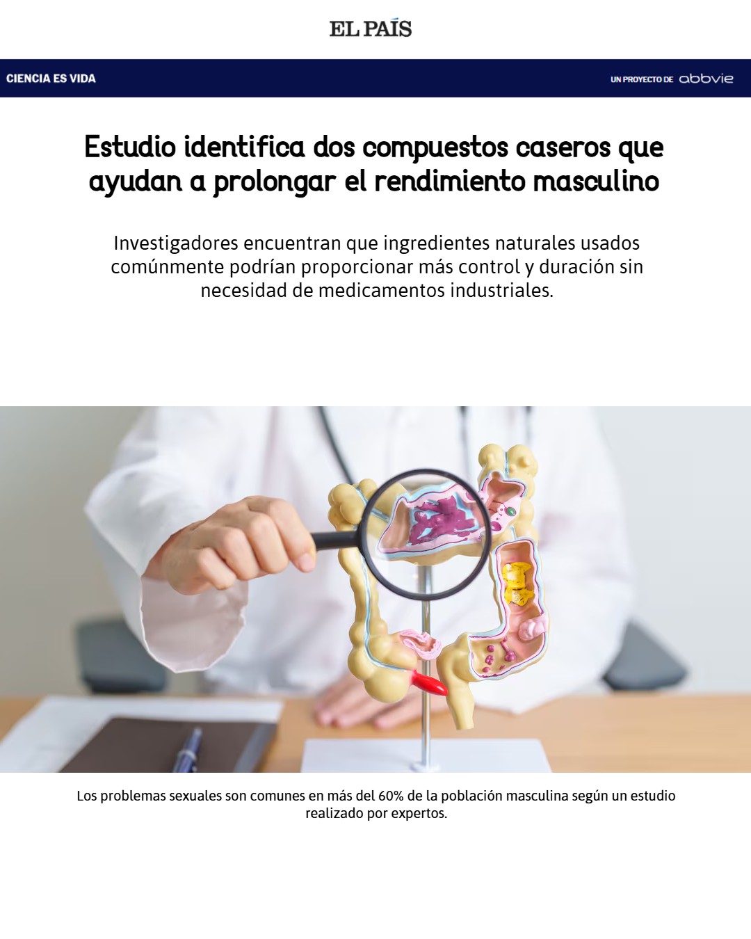 EL PAIS CERTO